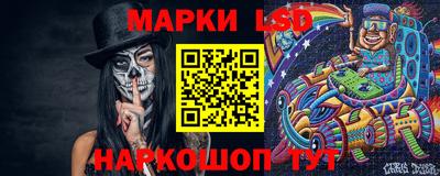 Альфа ПВП Гатчина