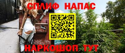 Альфа ПВП Гатчина