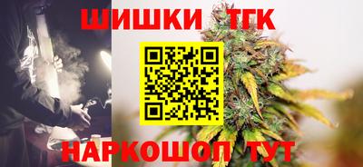 Альфа ПВП Гатчина