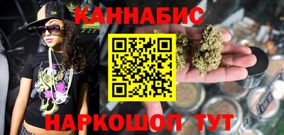 Альфа ПВП Гатчина