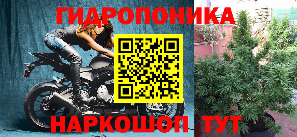 Бошки Шишки MAZAR Белогорск